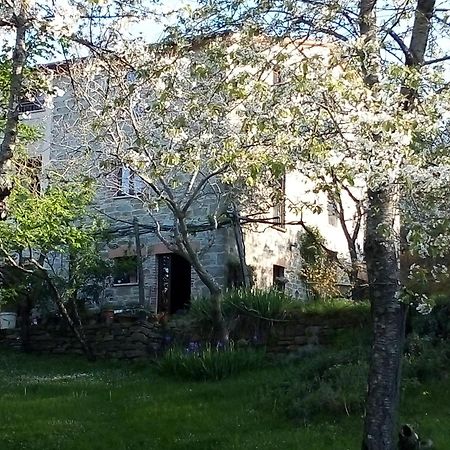 La Fonte B&B ピエトラルンガ エクステリア 写真